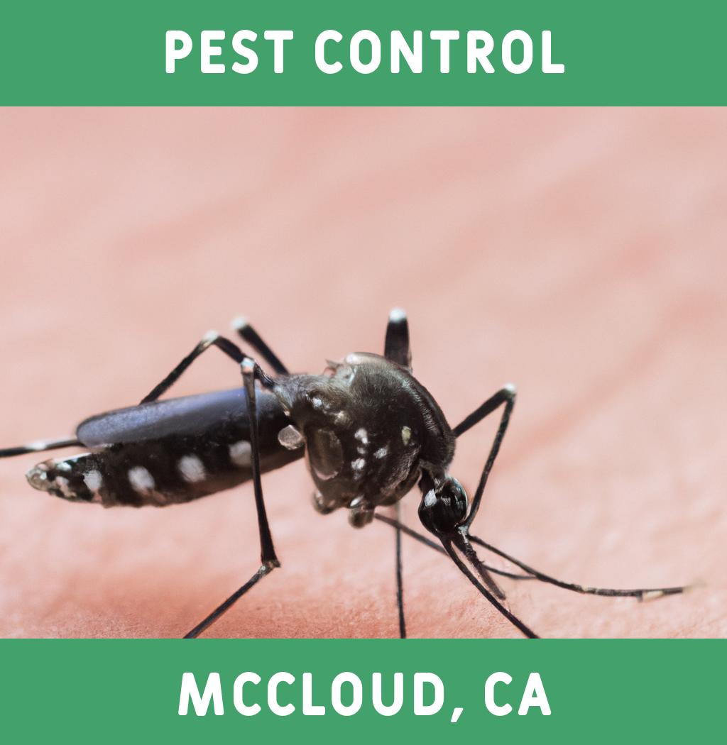 pest control in Mccloud California