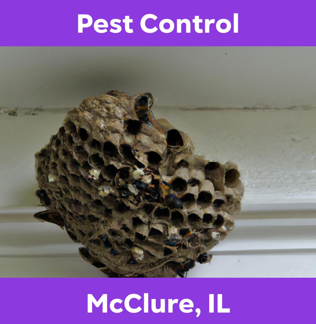pest control in Mcclure Illinois