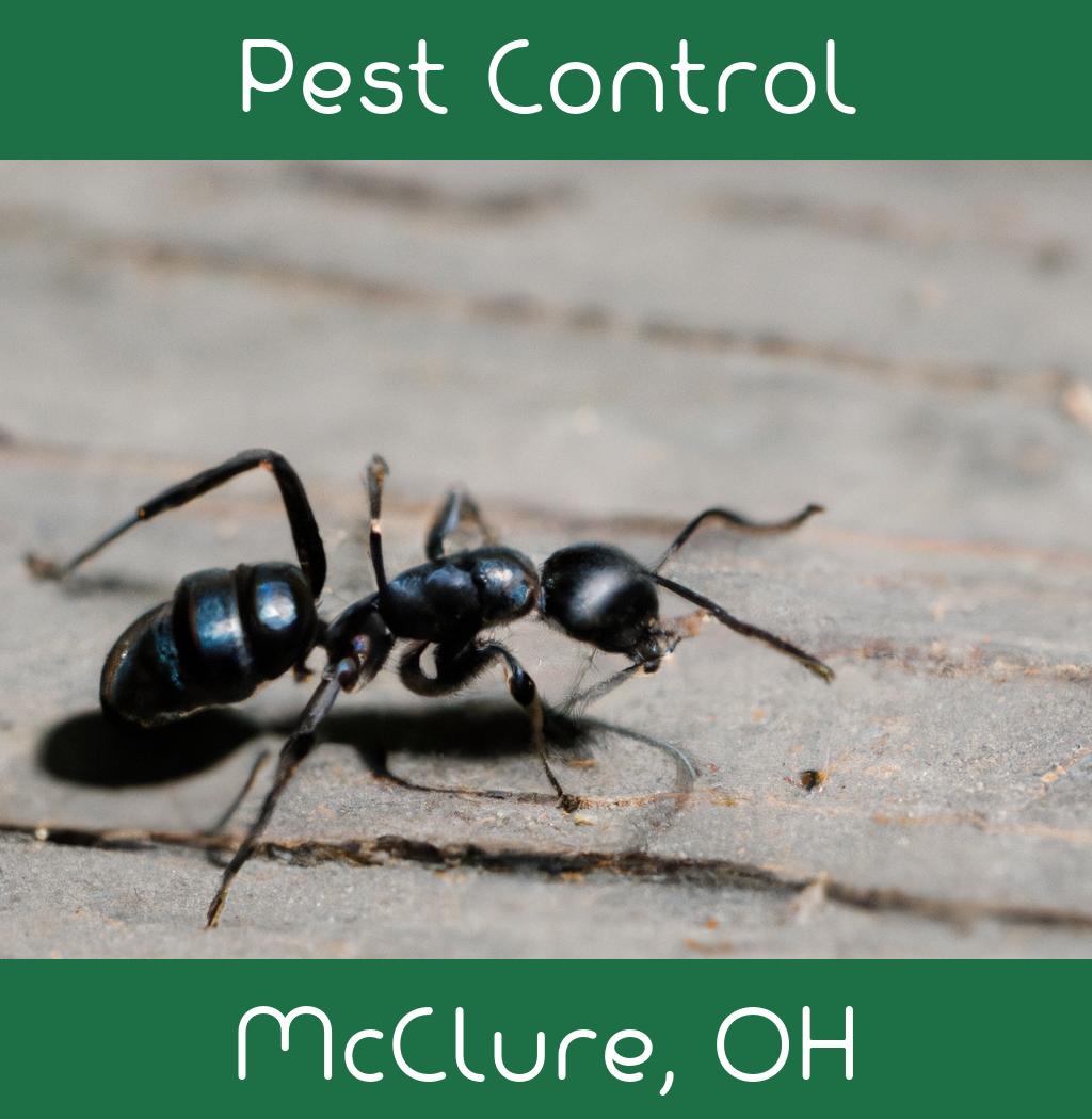 pest control in Mcclure Ohio