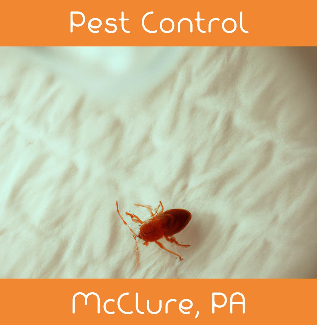 pest control in Mcclure Pennsylvania