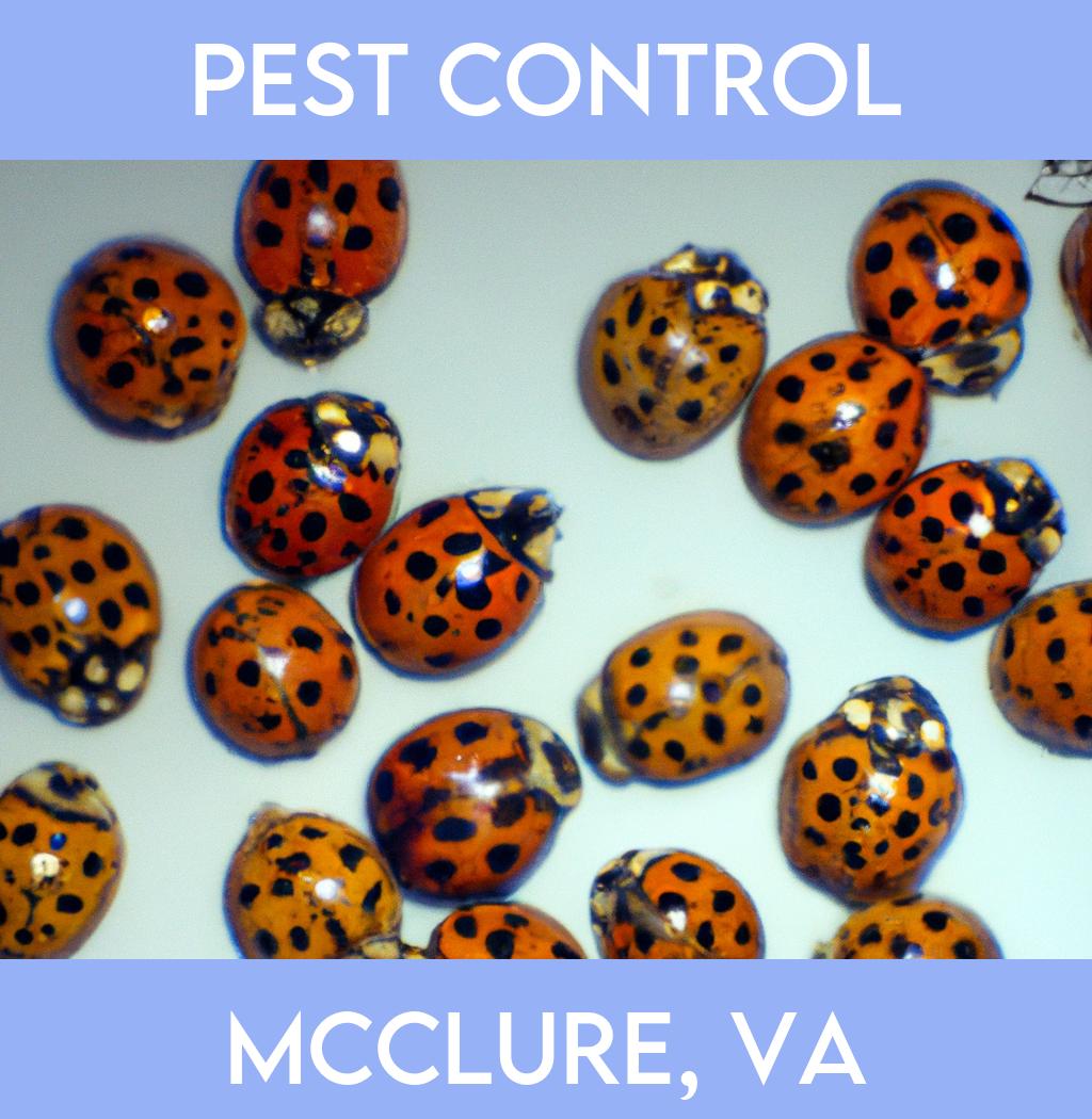 pest control in Mcclure Virginia