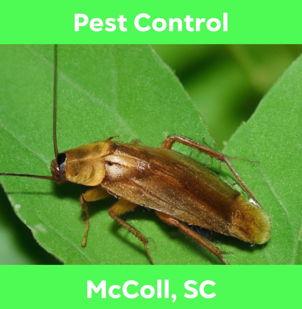 pest control in Mccoll South Carolina