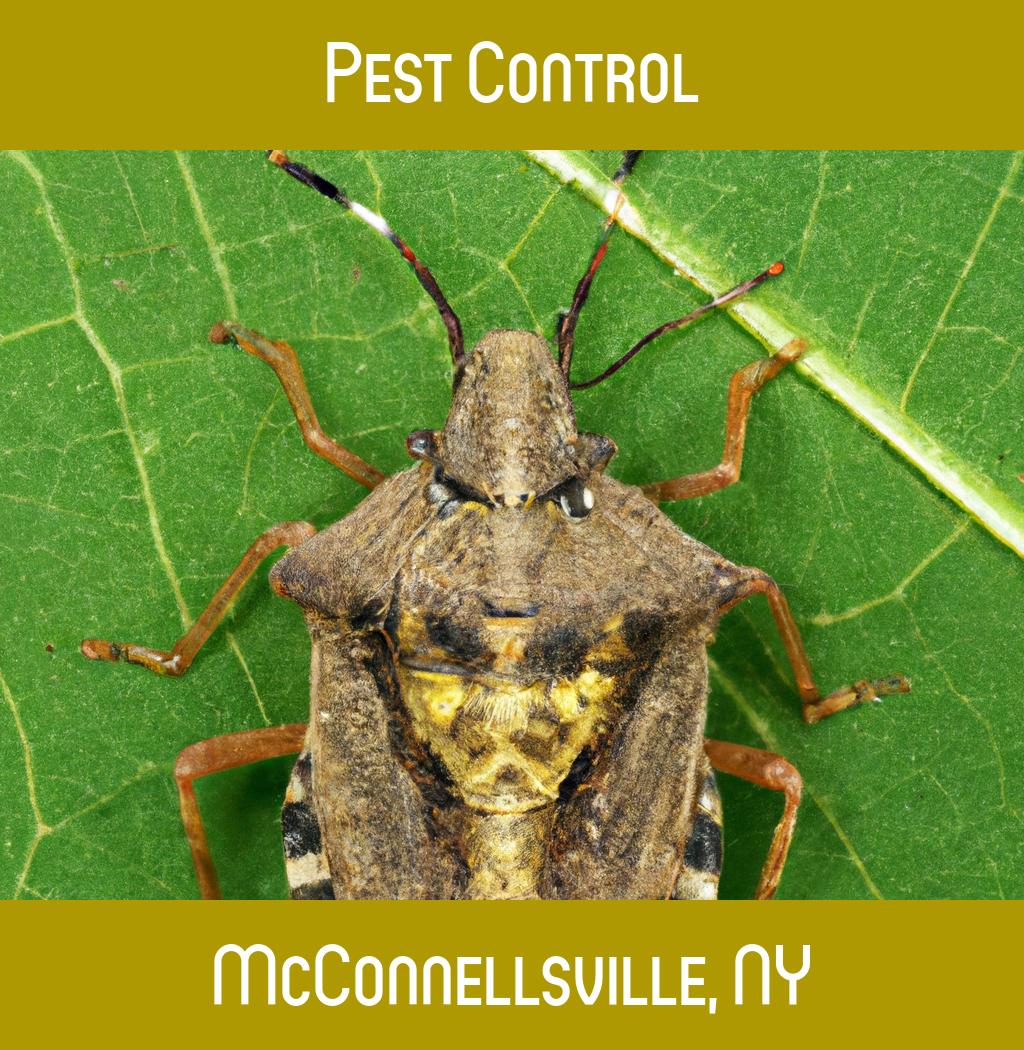 pest control in Mcconnellsville New York