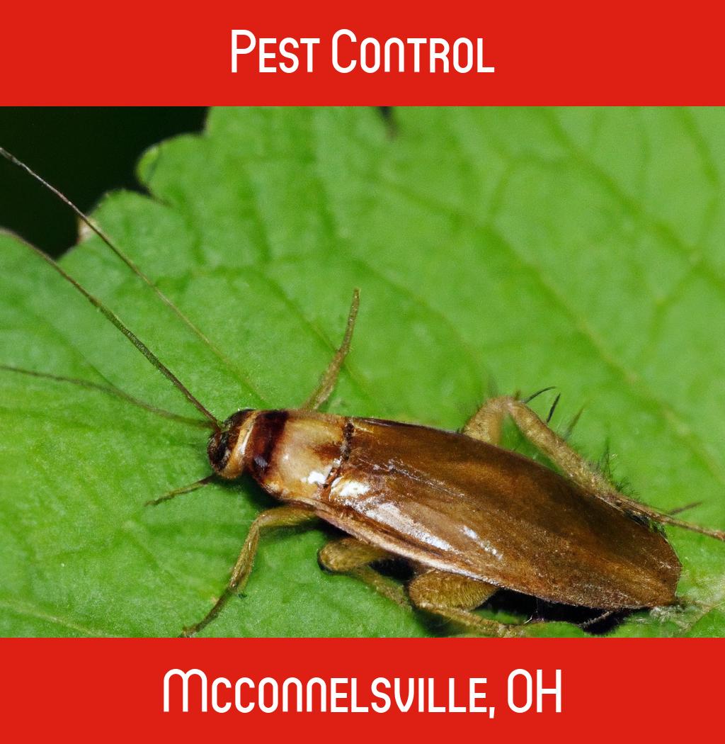 pest control in Mcconnelsville Ohio