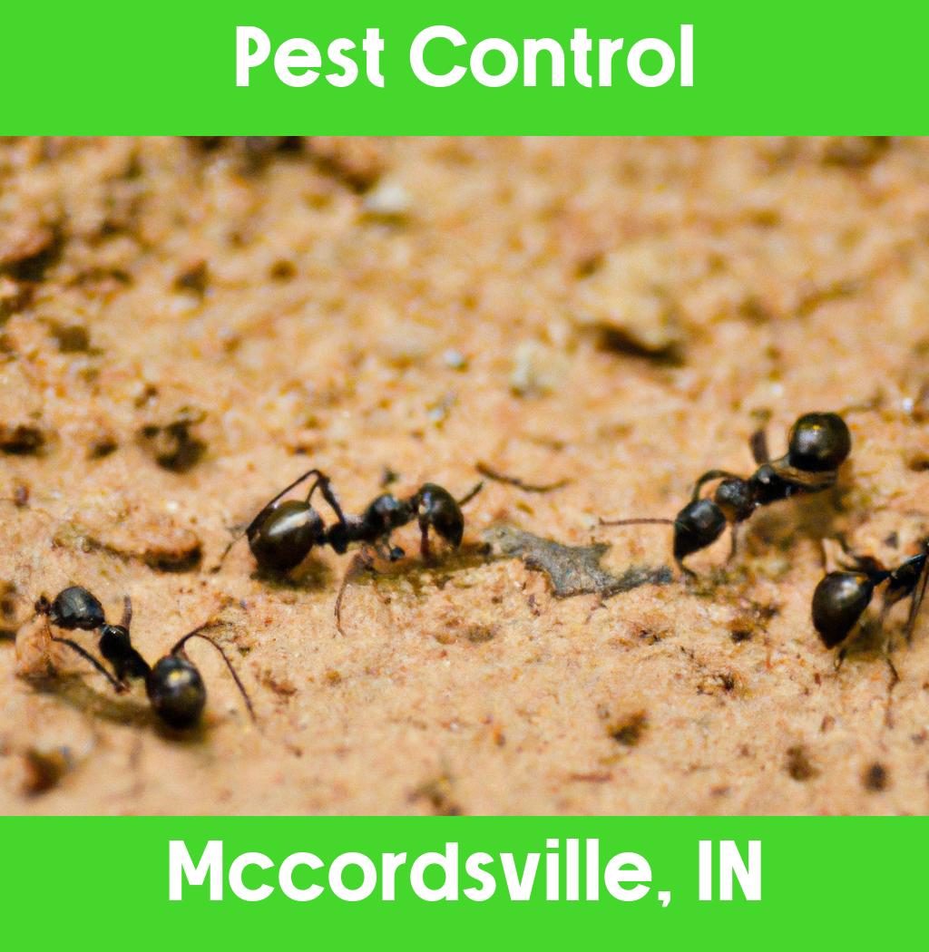 pest control in Mccordsville Indiana
