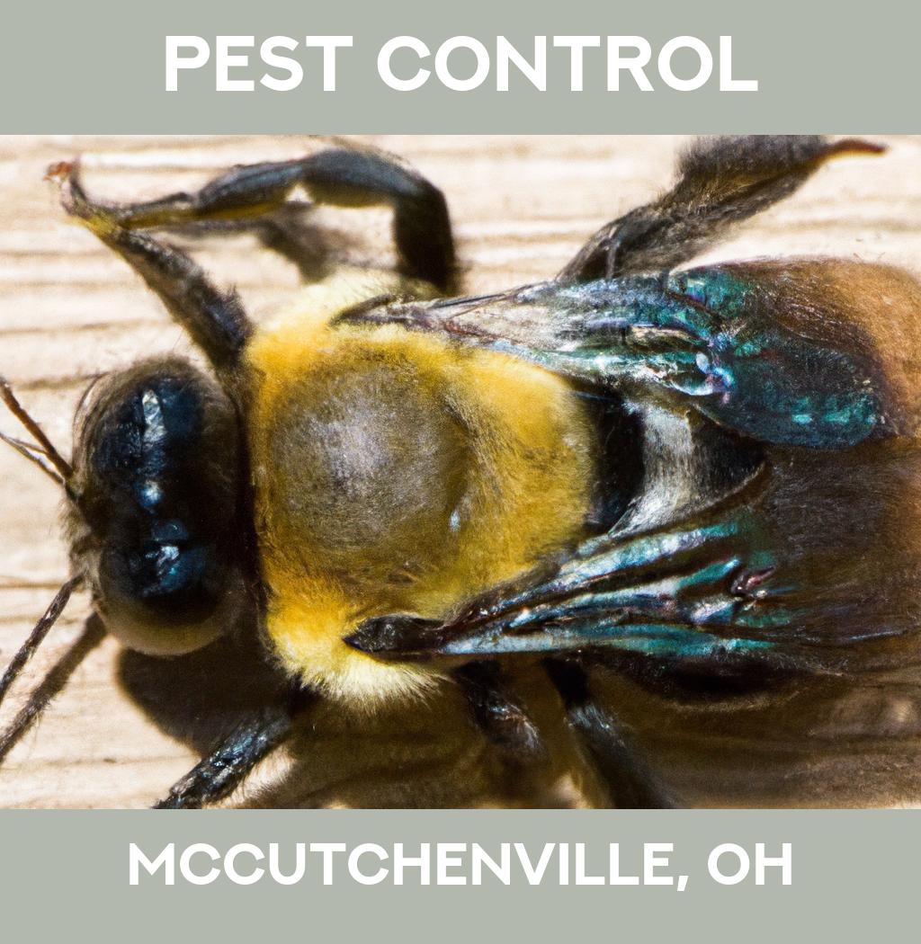 pest control in Mccutchenville Ohio