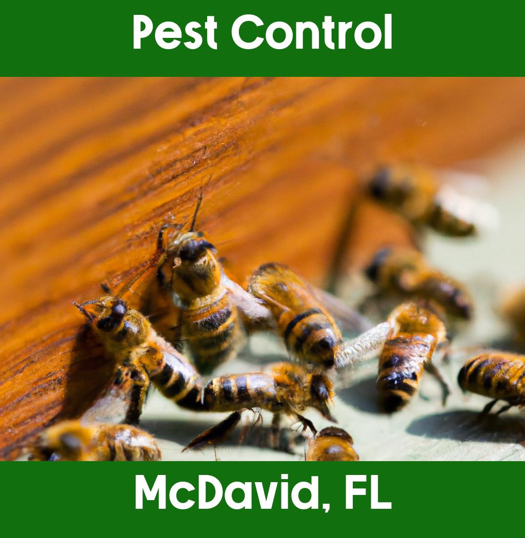 pest control in Mcdavid Florida