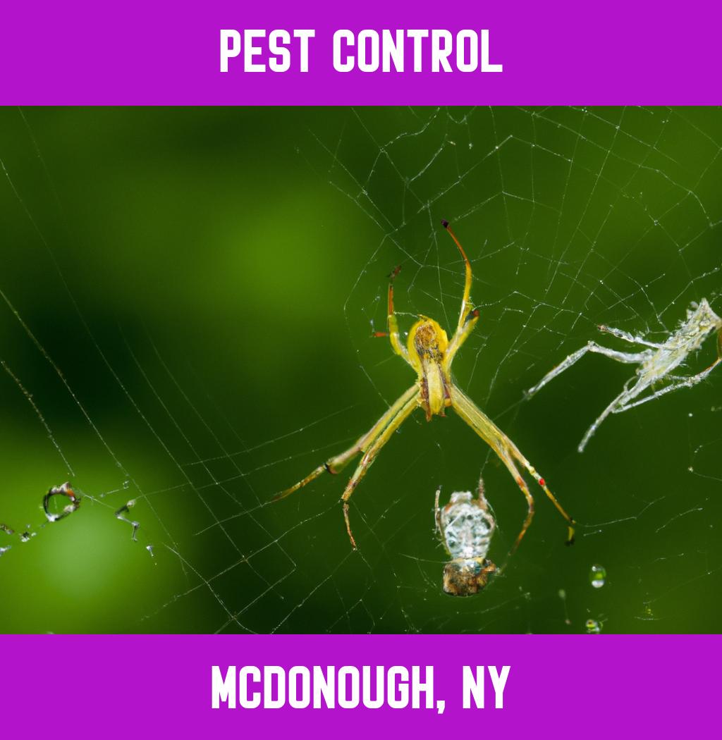 pest control in Mcdonough New York