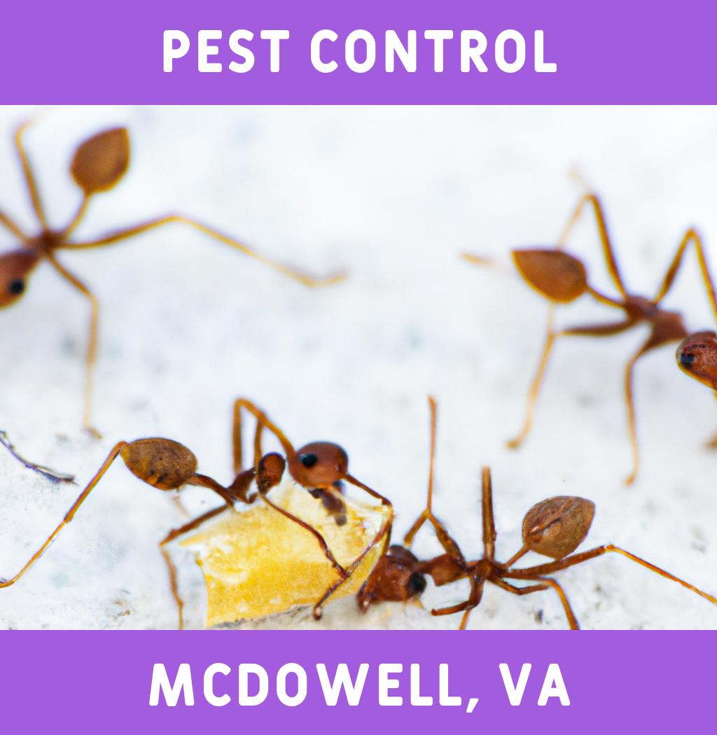 pest control in Mcdowell Virginia