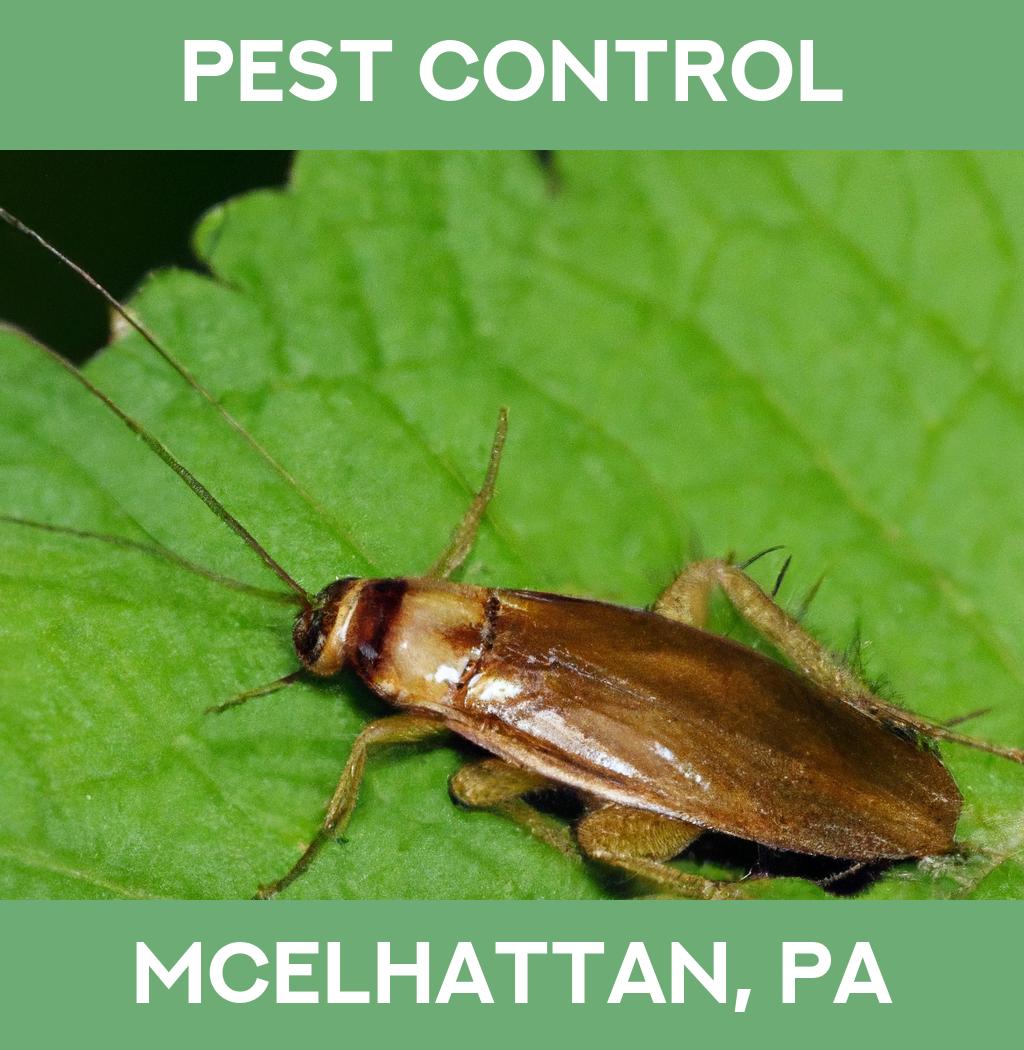 pest control in Mcelhattan Pennsylvania