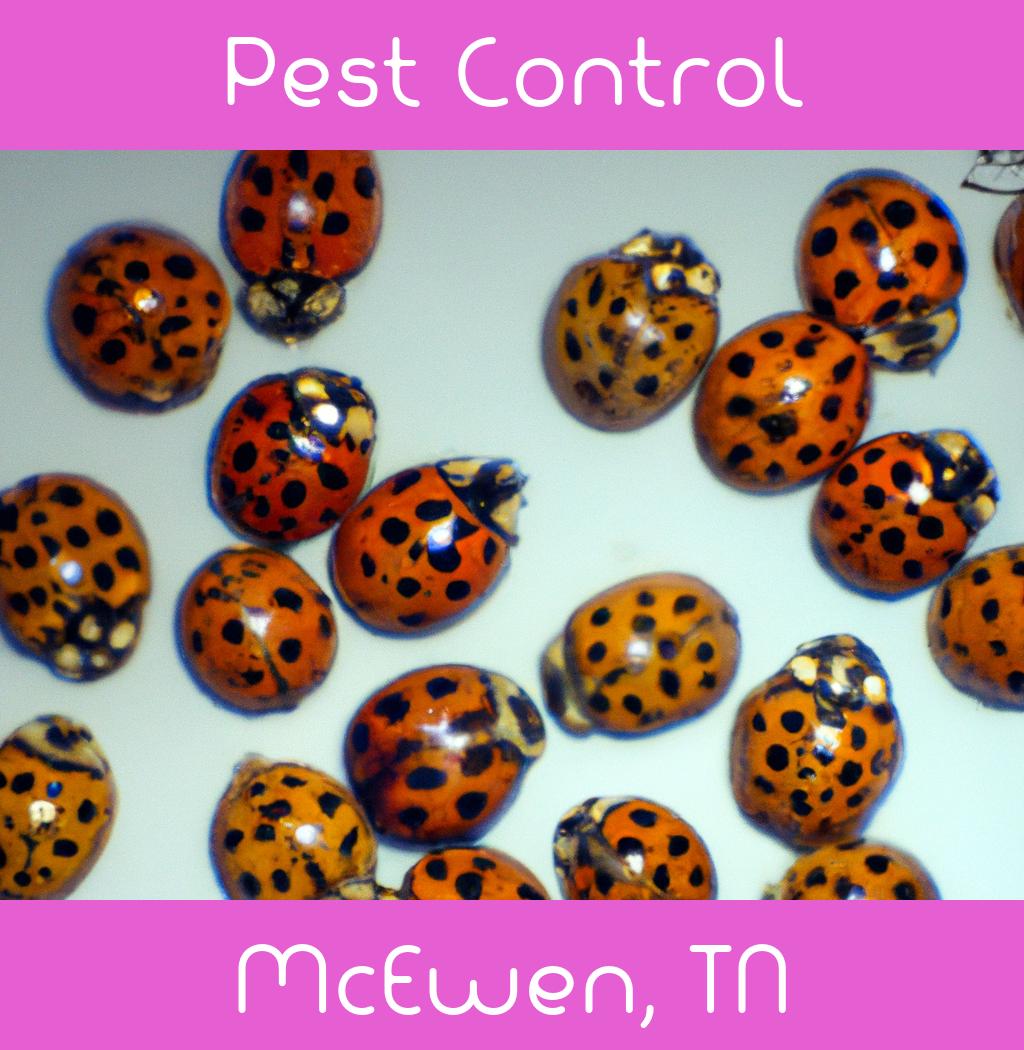 pest control in Mcewen Tennessee
