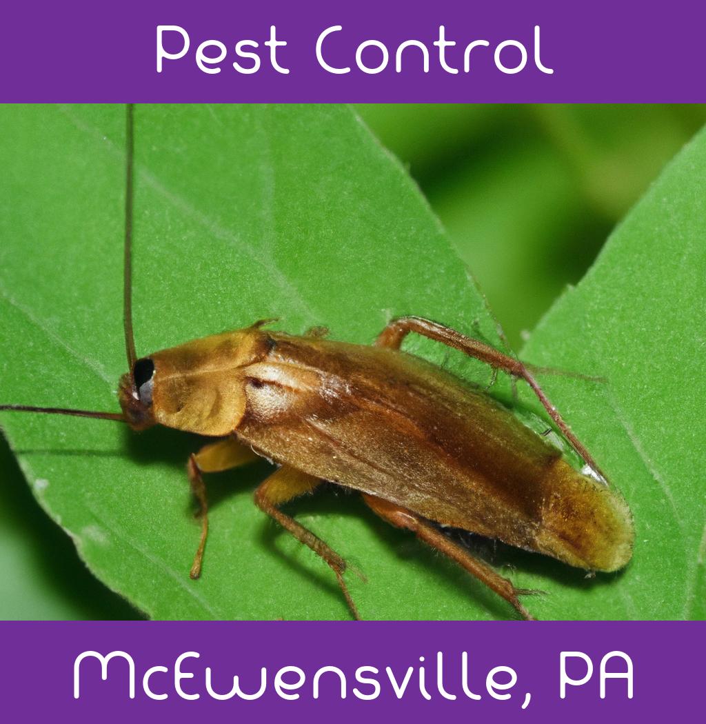 pest control in Mcewensville Pennsylvania