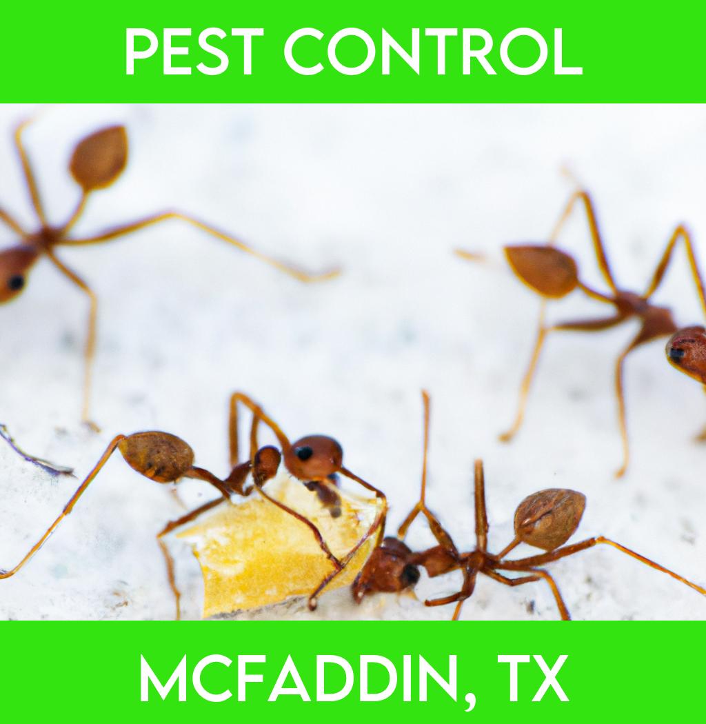 pest control in Mcfaddin Texas