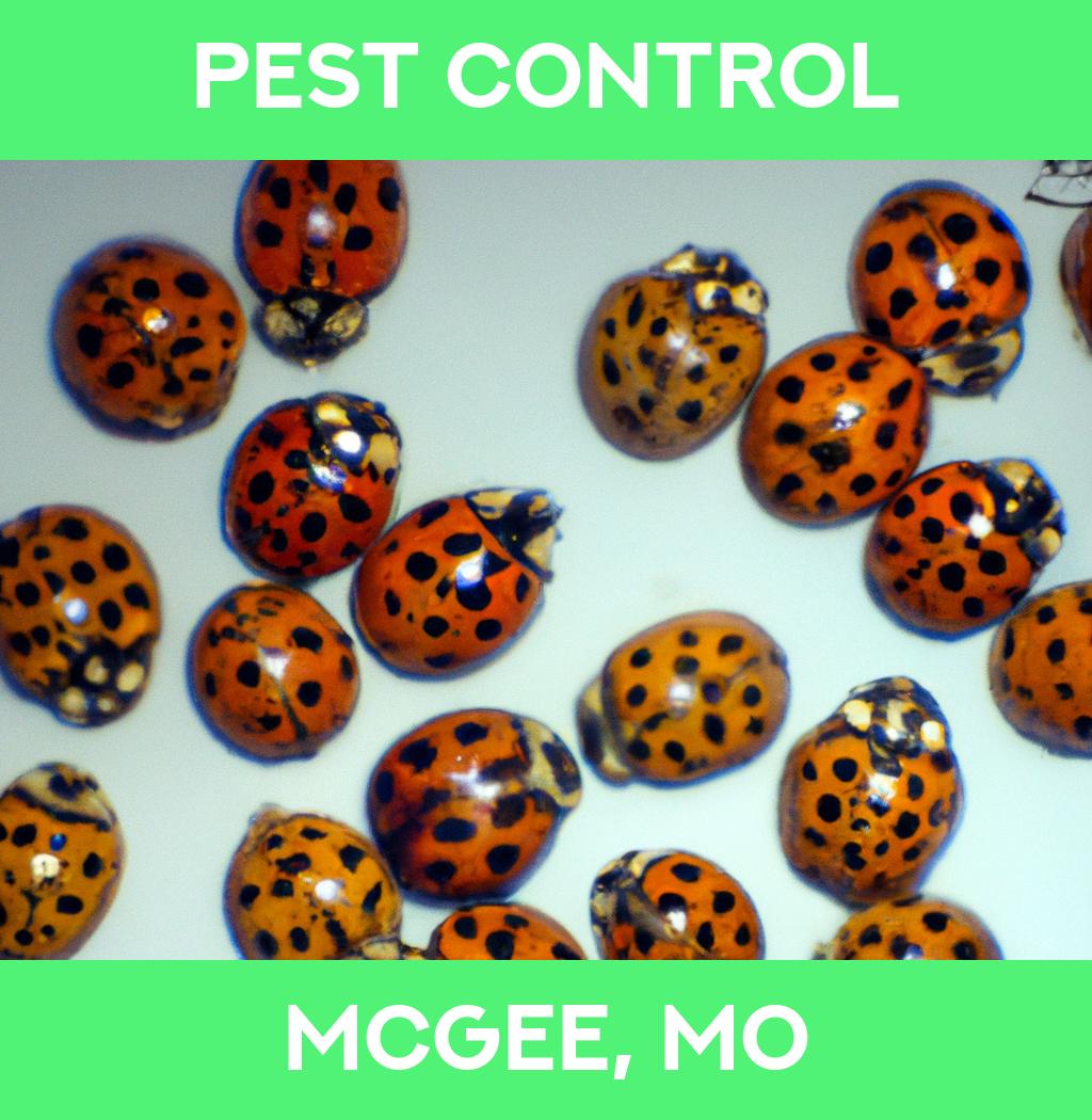 pest control in Mcgee Missouri