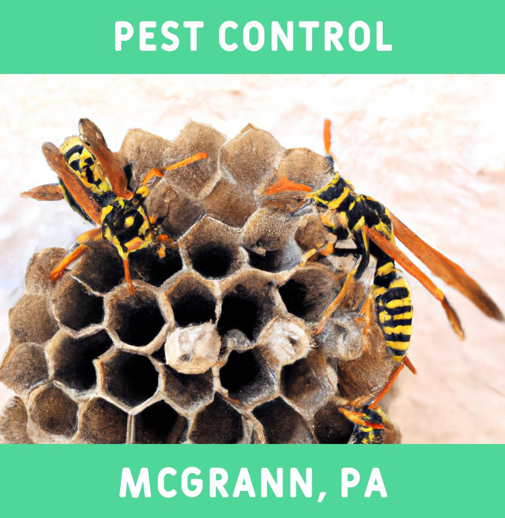 pest control in Mcgrann Pennsylvania