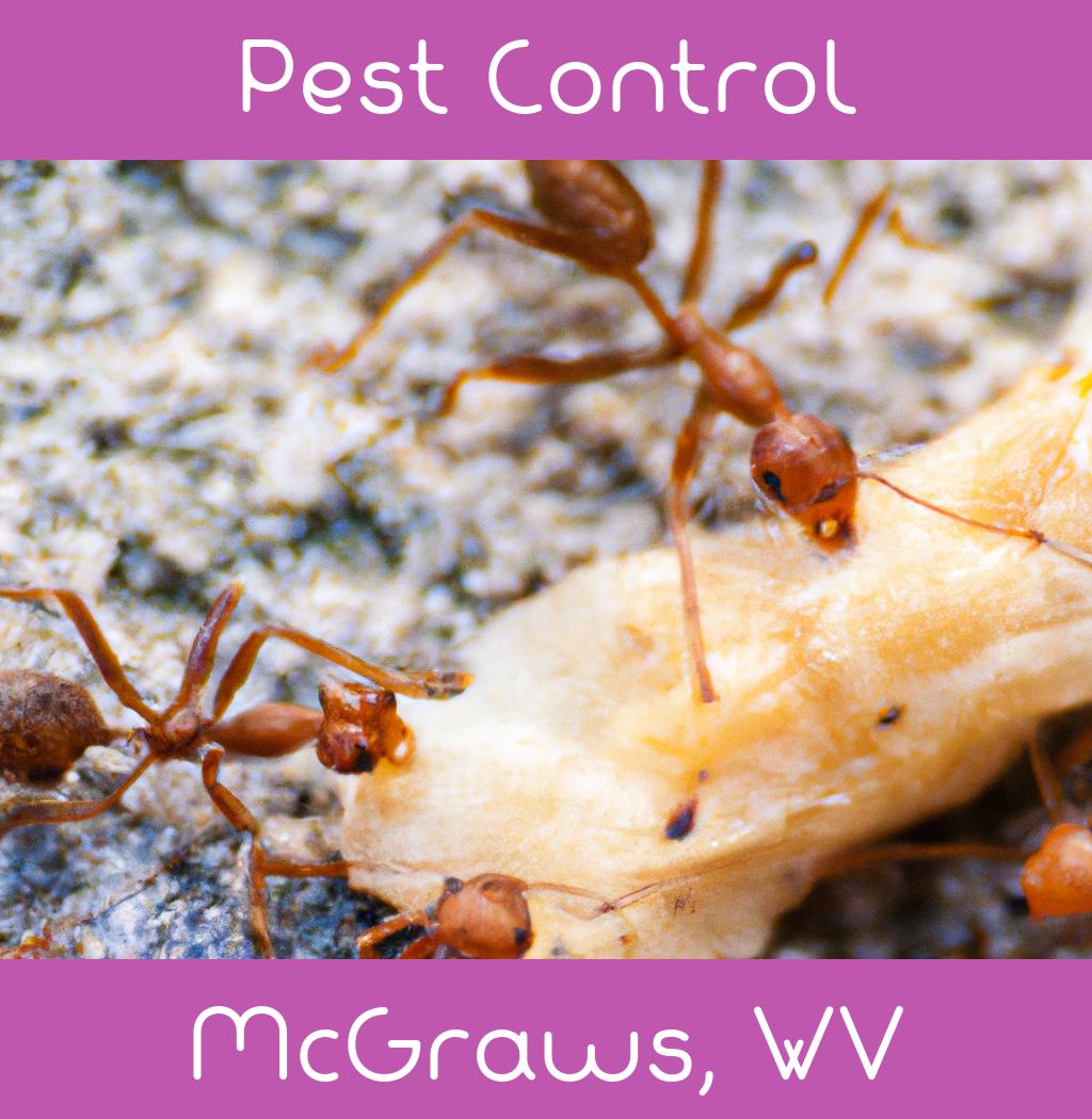 pest control in Mcgraws West Virginia