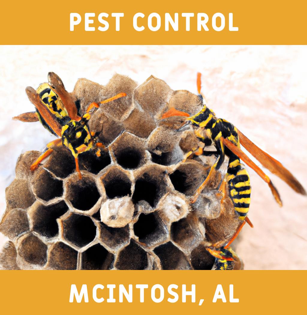 pest control in Mcintosh Alabama