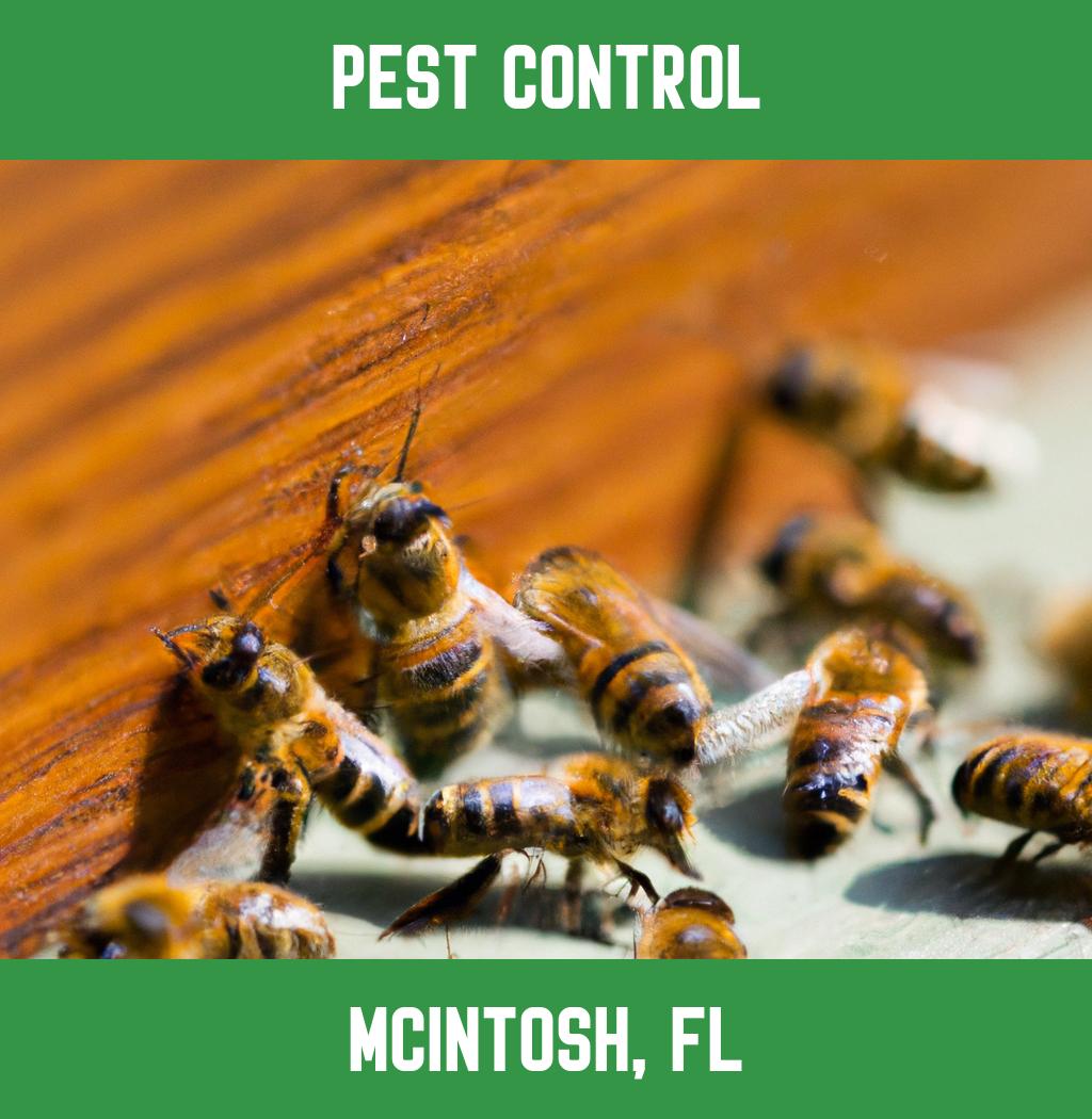 pest control in Mcintosh Florida