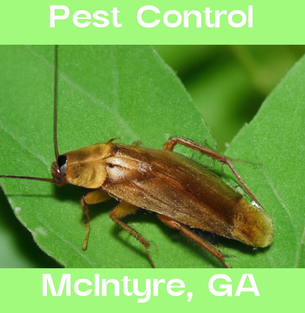 pest control in Mcintyre Georgia