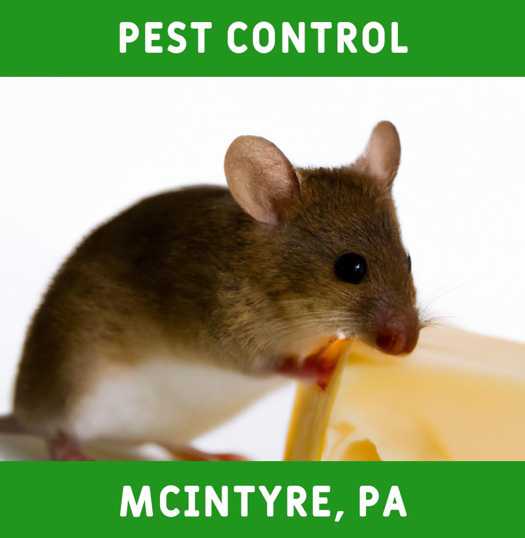 pest control in Mcintyre Pennsylvania