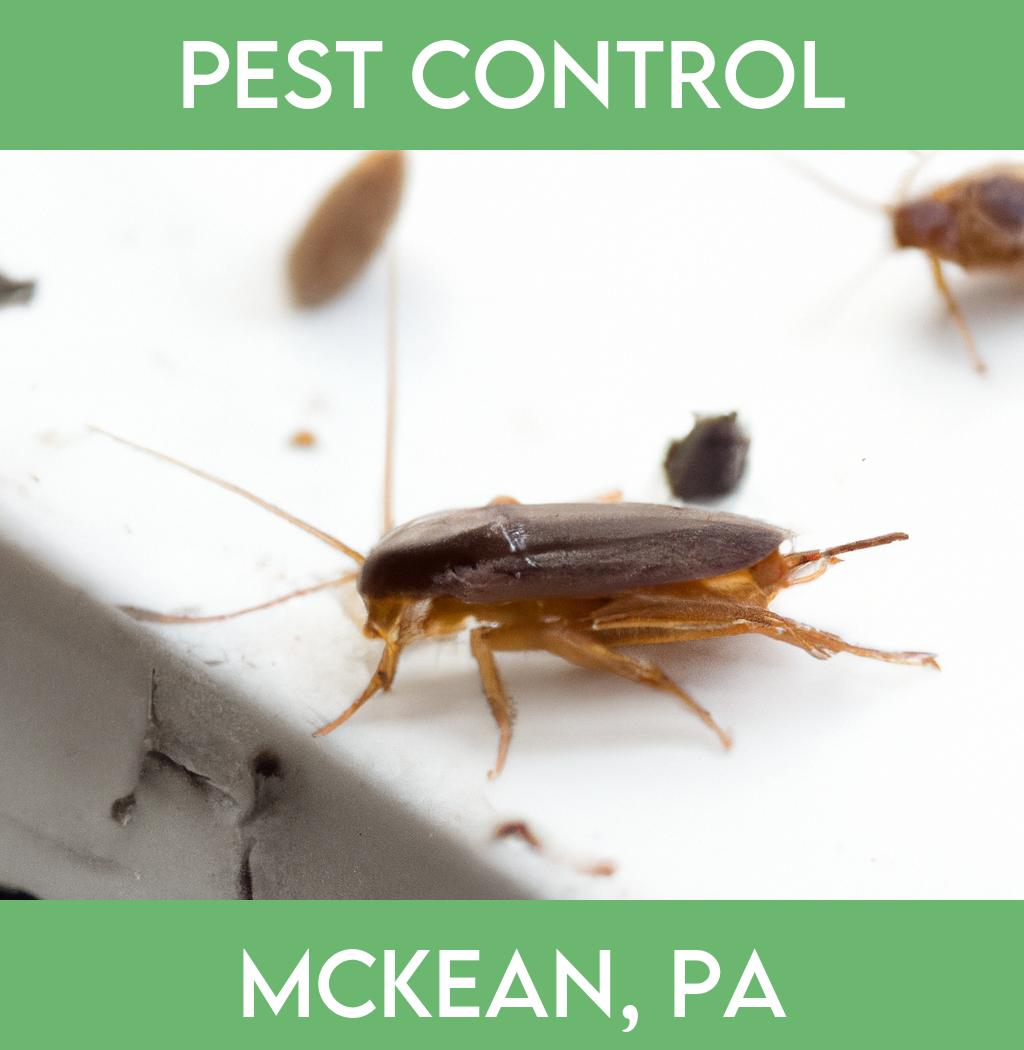 pest control in Mckean Pennsylvania