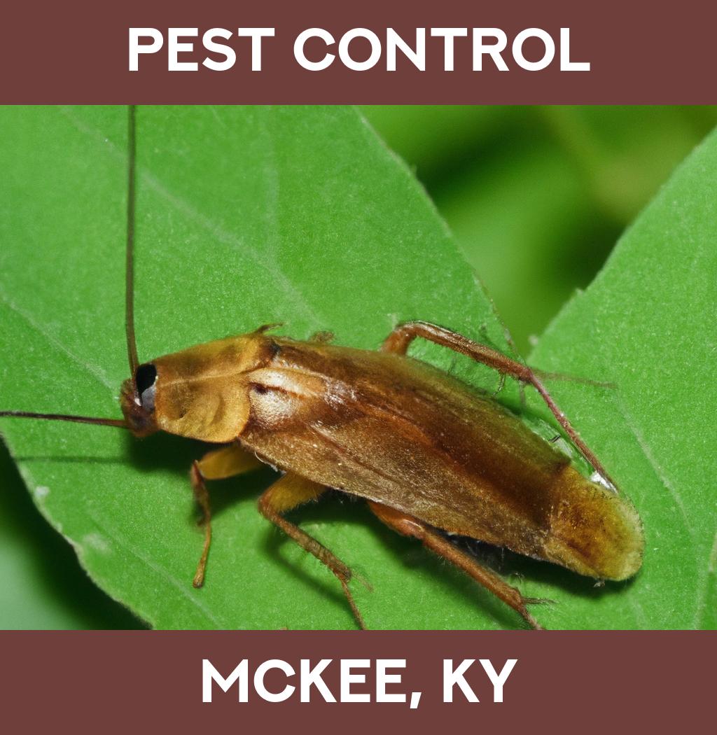 pest control in Mckee Kentucky