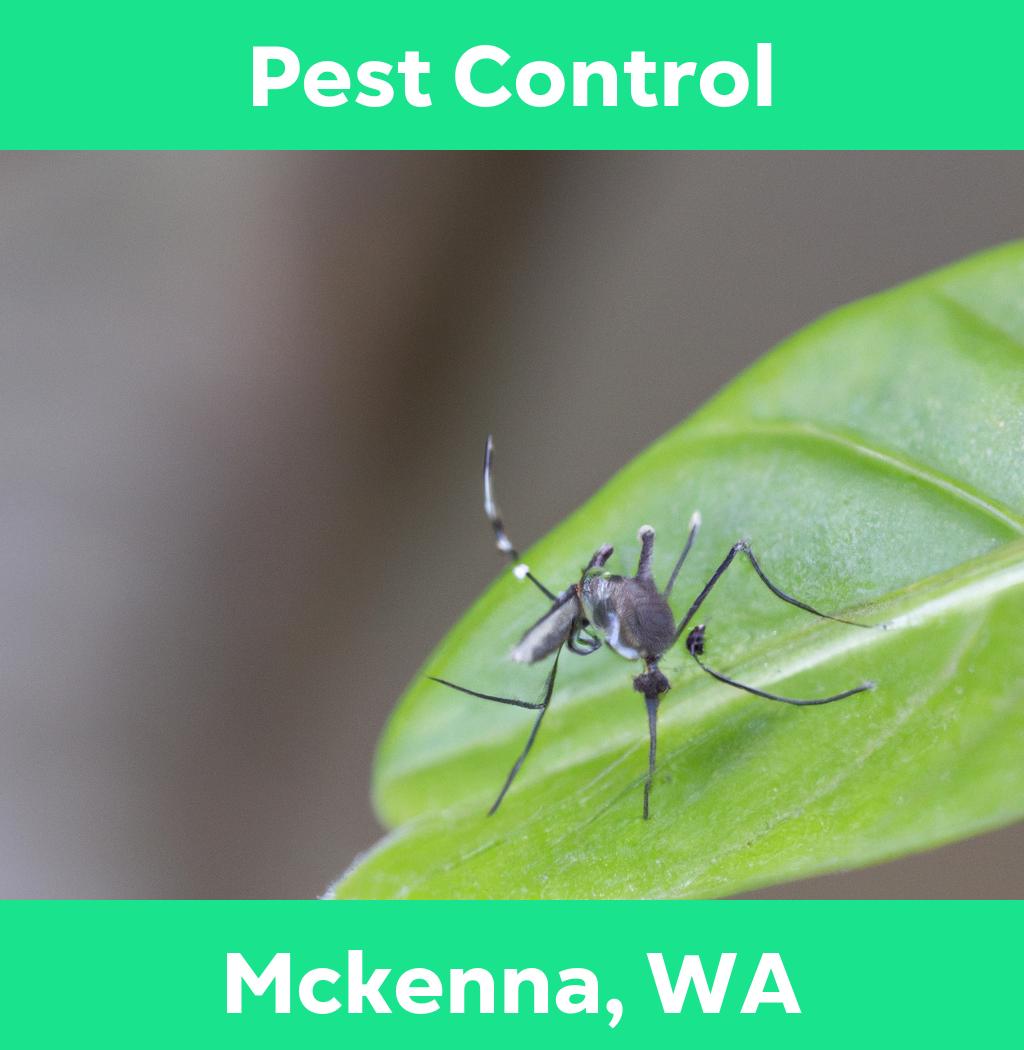 pest control in Mckenna Washington