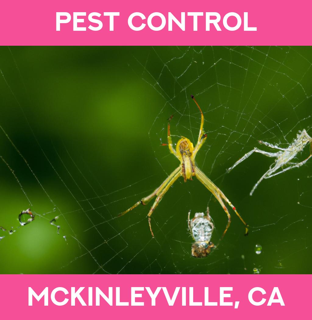 pest control in Mckinleyville California
