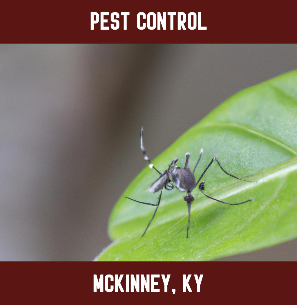 pest control in Mckinney Kentucky