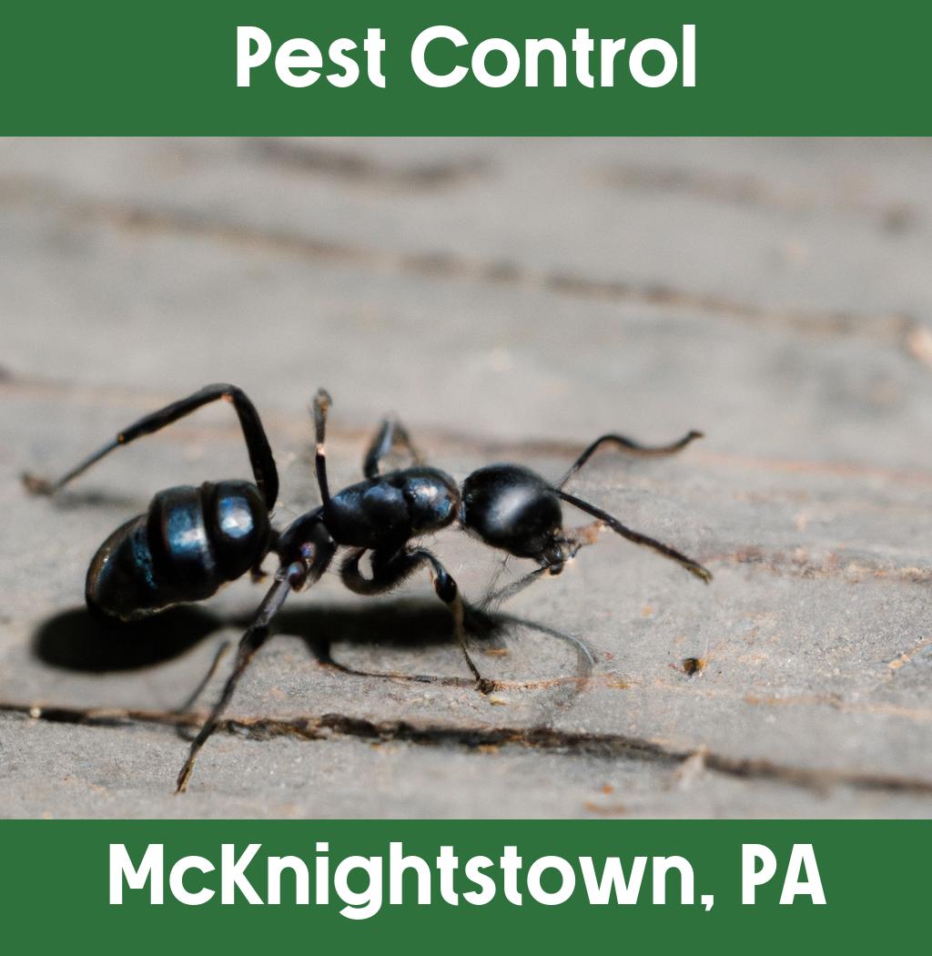 pest control in Mcknightstown Pennsylvania