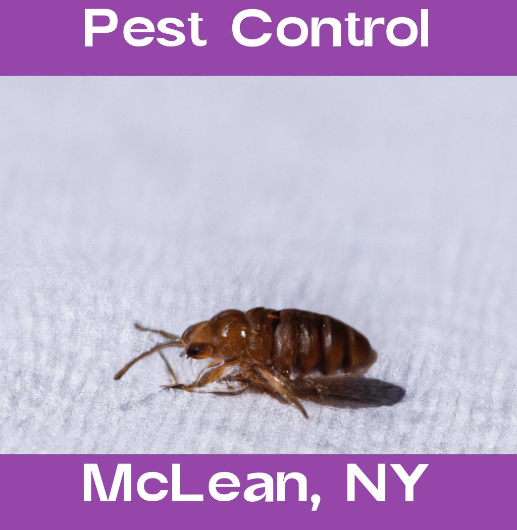 pest control in Mclean New York