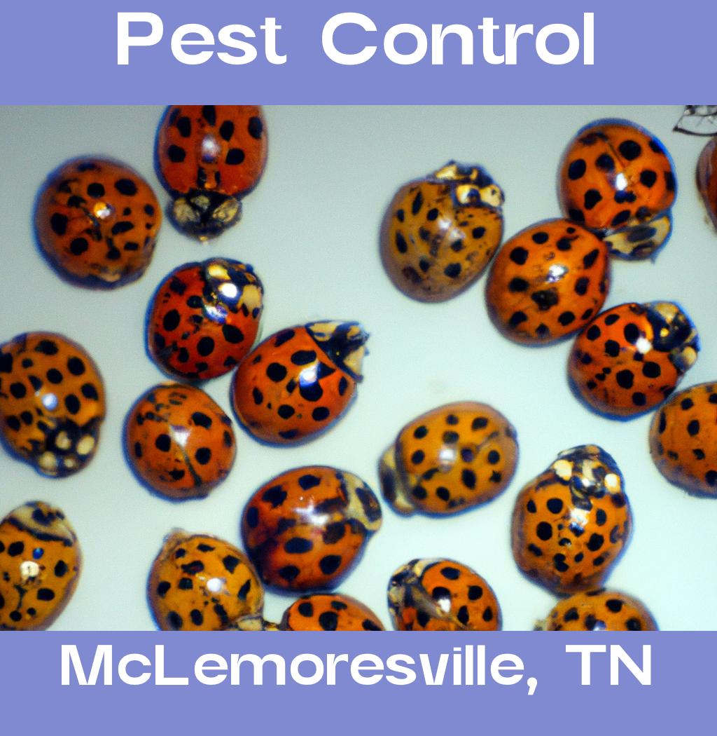 pest control in Mclemoresville Tennessee