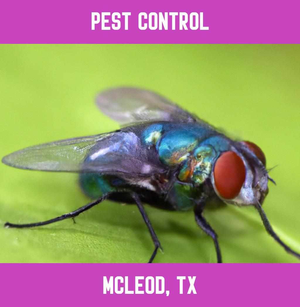 pest control in Mcleod Texas