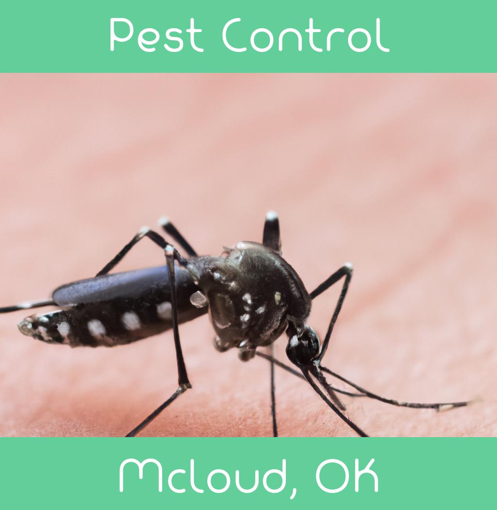 pest control in Mcloud Oklahoma