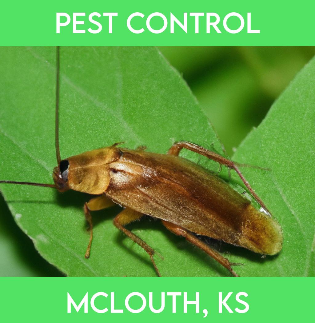 pest control in Mclouth Kansas
