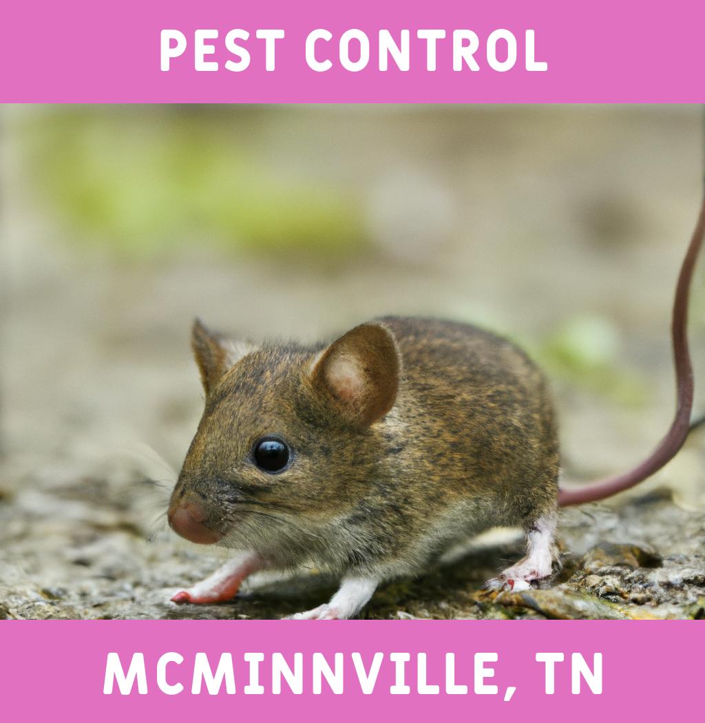 pest control in Mcminnville Tennessee