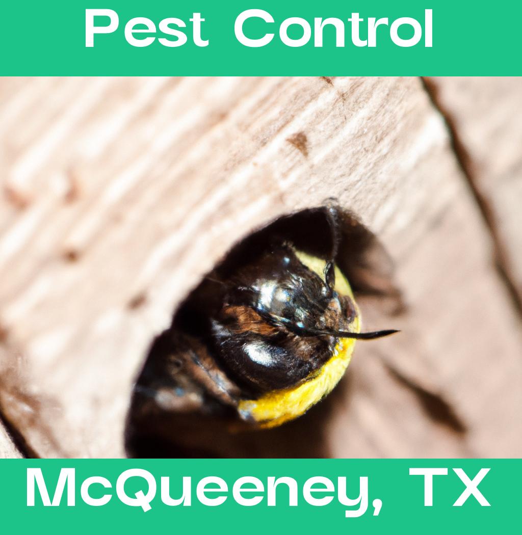 pest control in Mcqueeney Texas