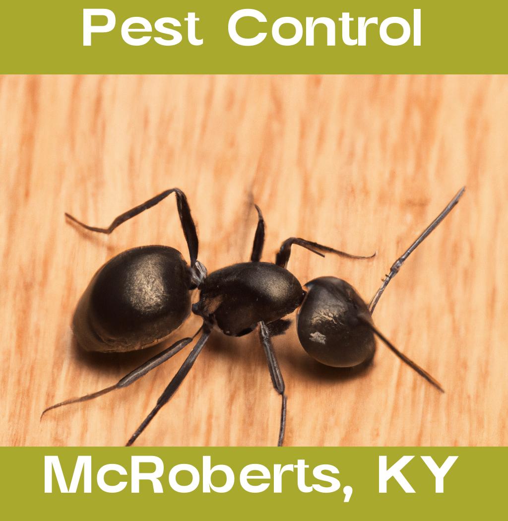 pest control in Mcroberts Kentucky