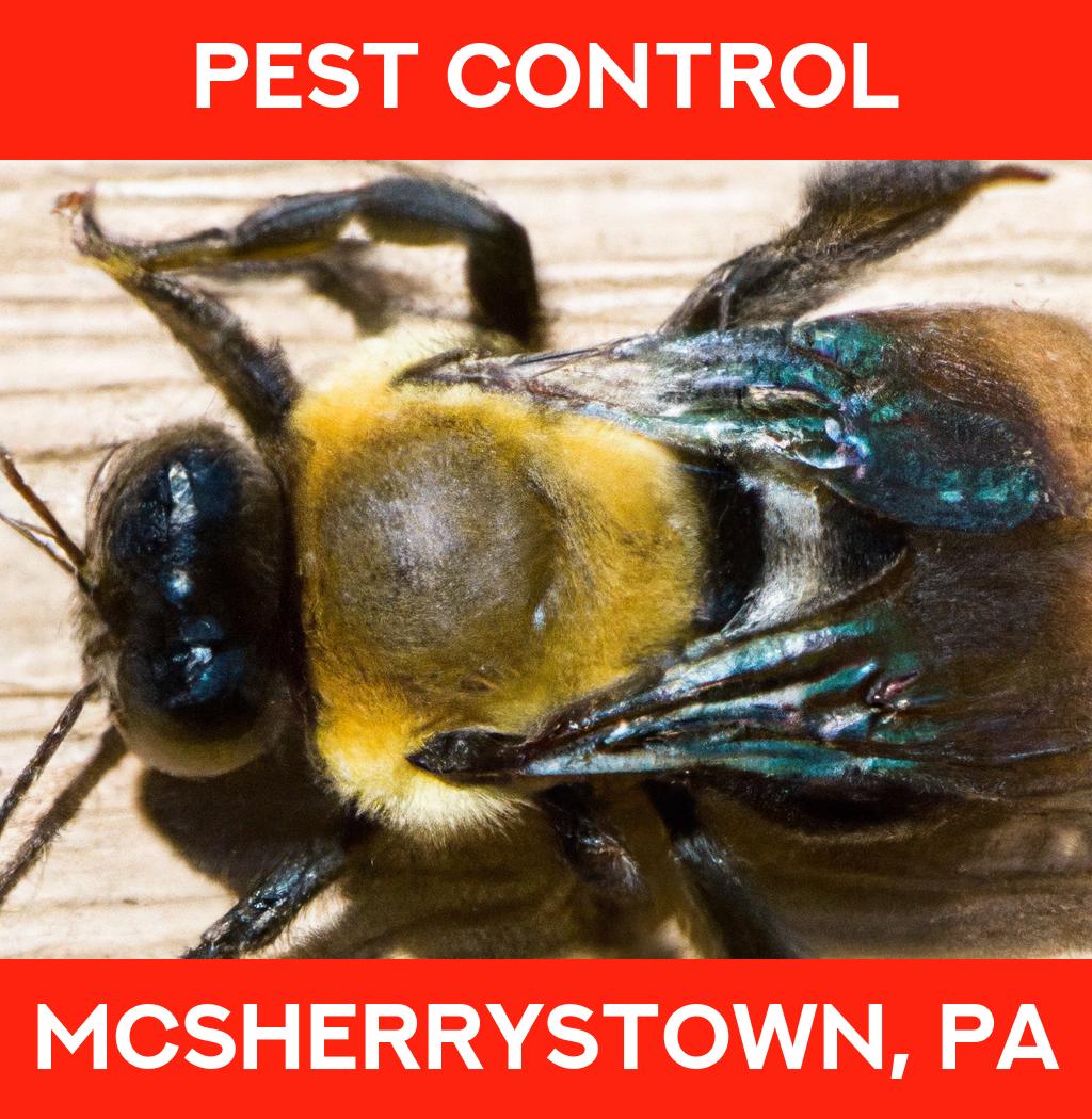 pest control in Mcsherrystown Pennsylvania