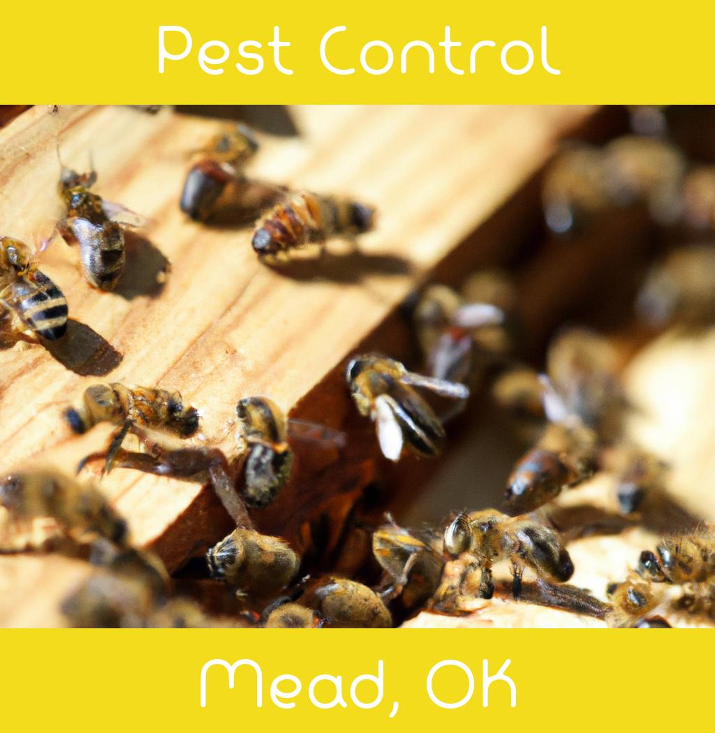 pest control in Mead Oklahoma