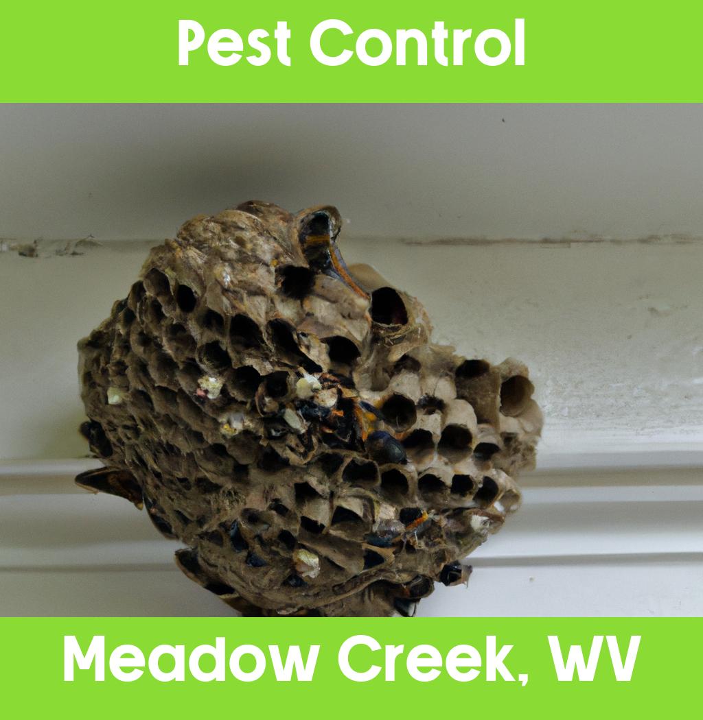 pest control in Meadow Creek West Virginia