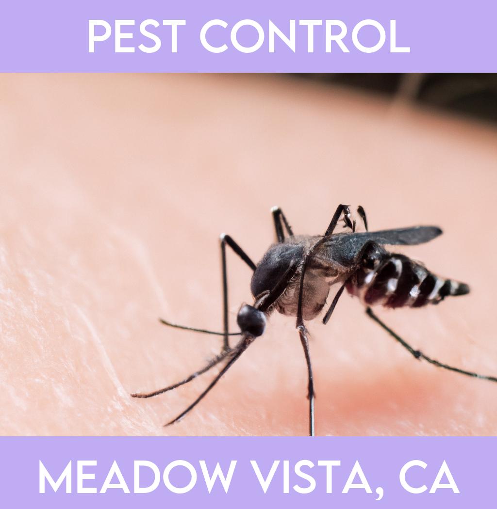 pest control in Meadow Vista California