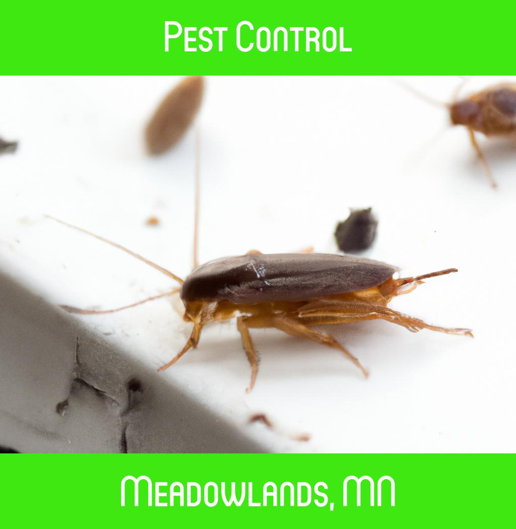 pest control in Meadowlands Minnesota