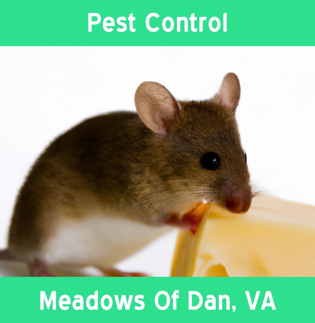 pest control in Meadows Of Dan Virginia