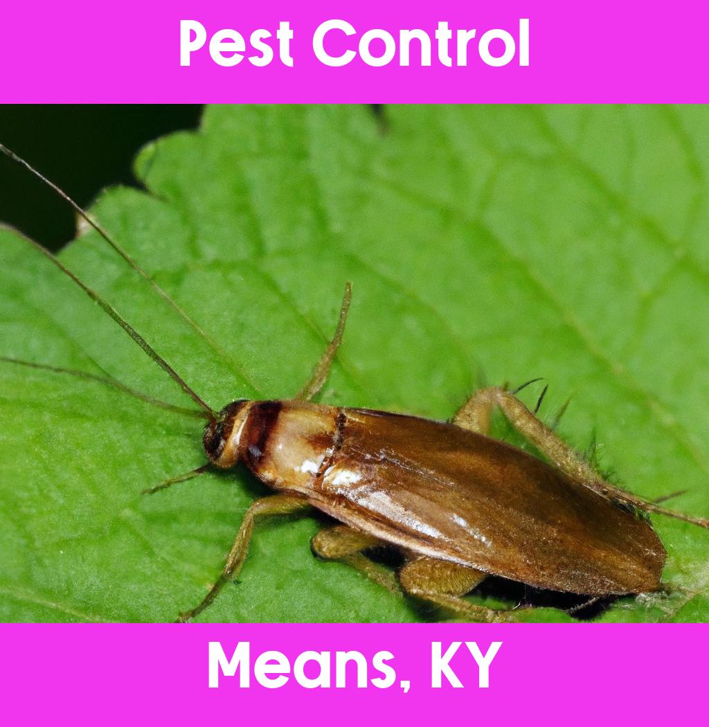 pest control in Means Kentucky