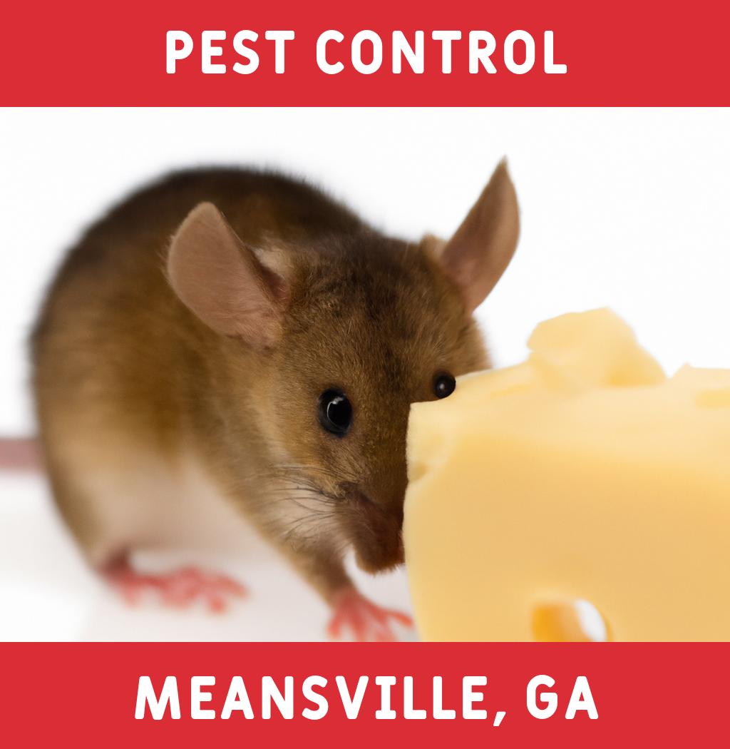 pest control in Meansville Georgia