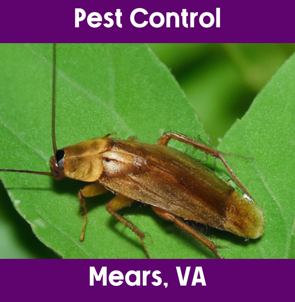 pest control in Mears Virginia