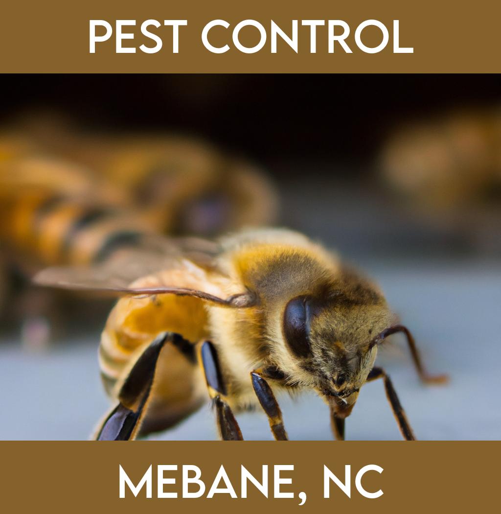 pest control in Mebane North Carolina