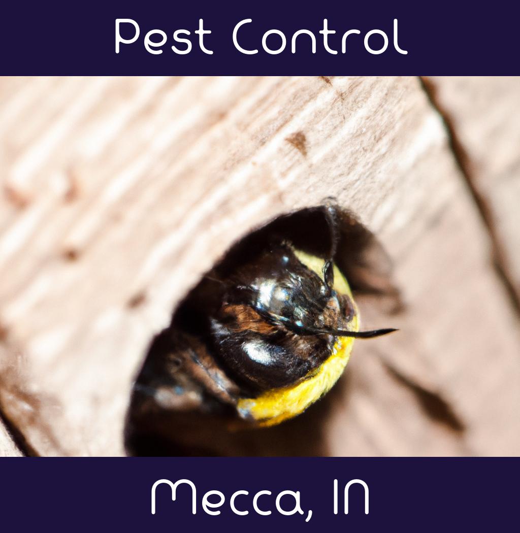 pest control in Mecca Indiana