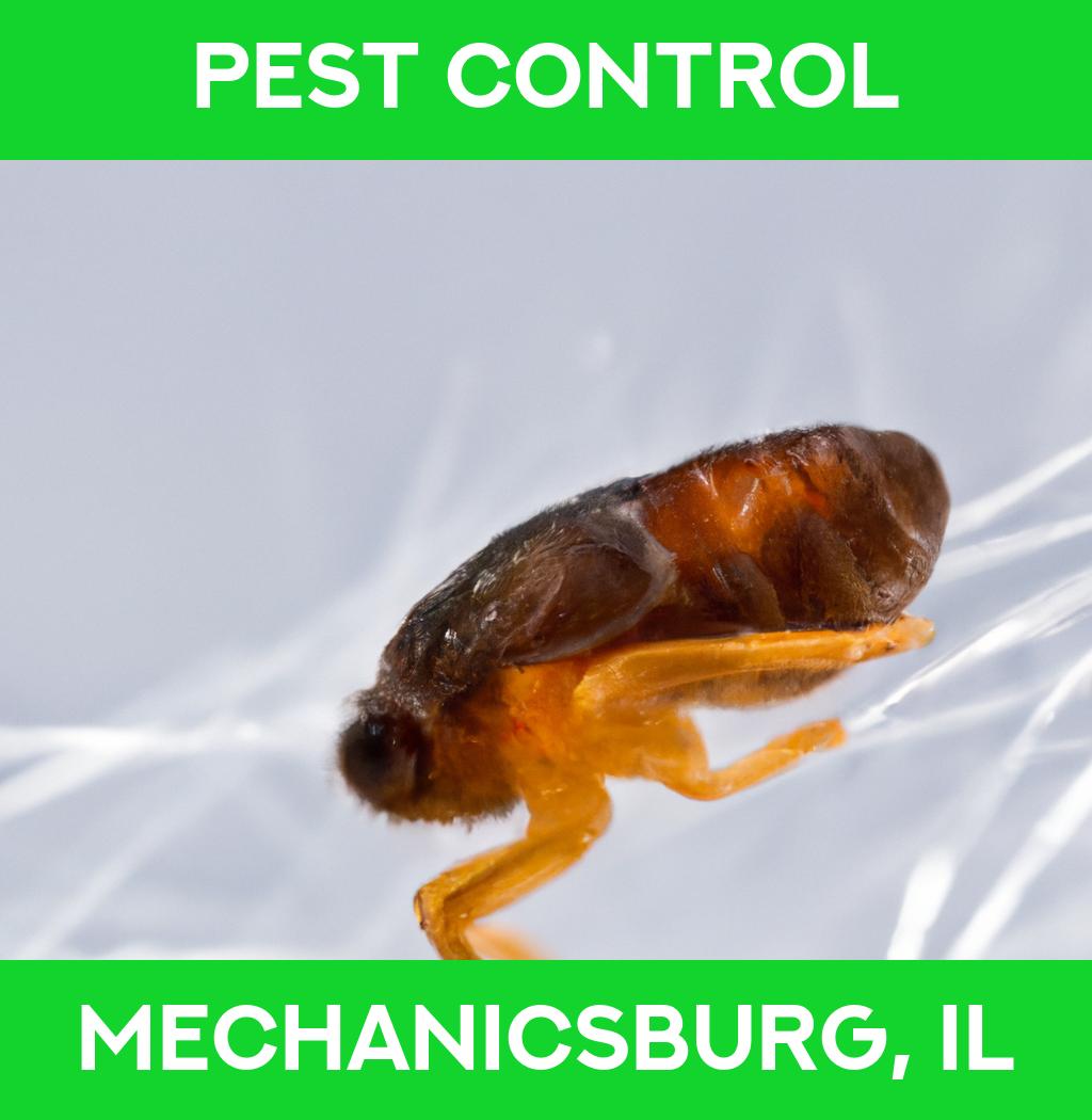pest control in Mechanicsburg Illinois